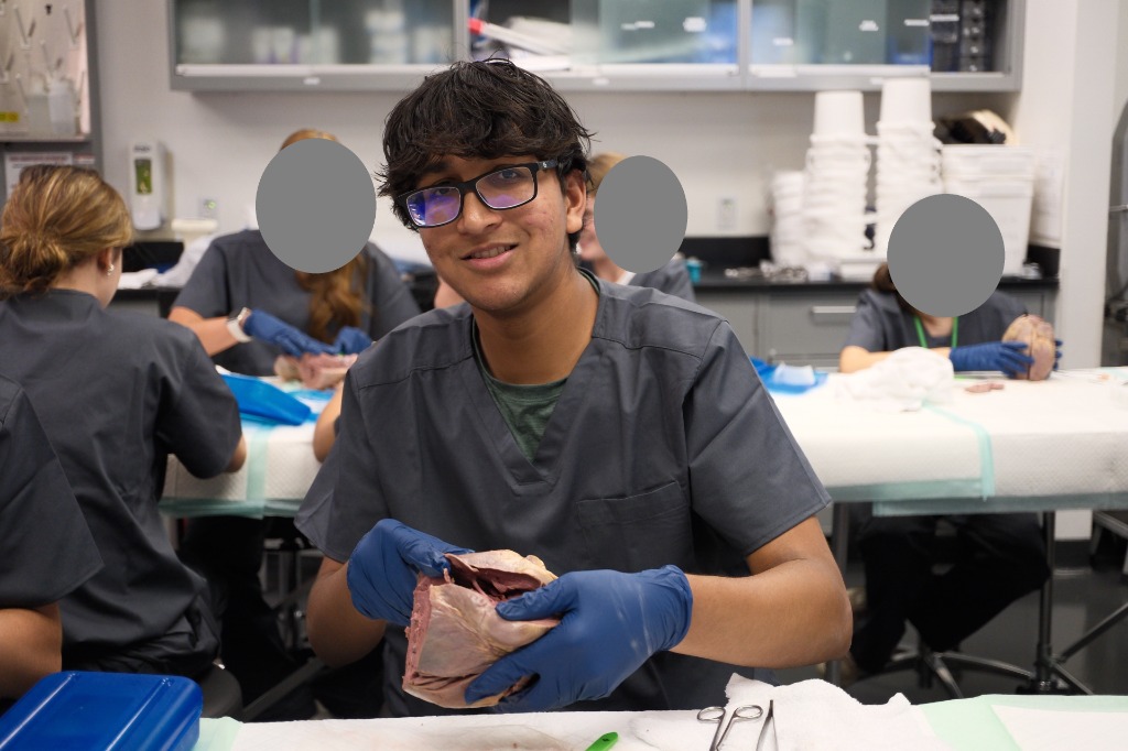 Stanford CASP Dissection